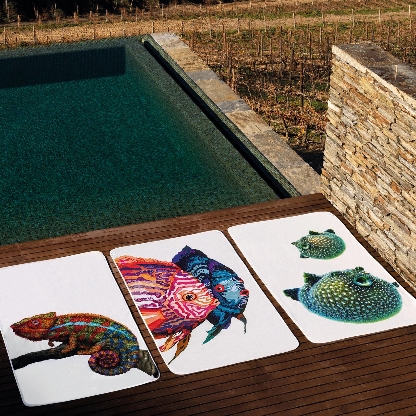 
                  
                    CHAMELEON BEACH TOWEL
                  
                
